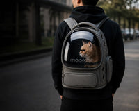 homme qui porte un sac de voyage pour chat avec un chat