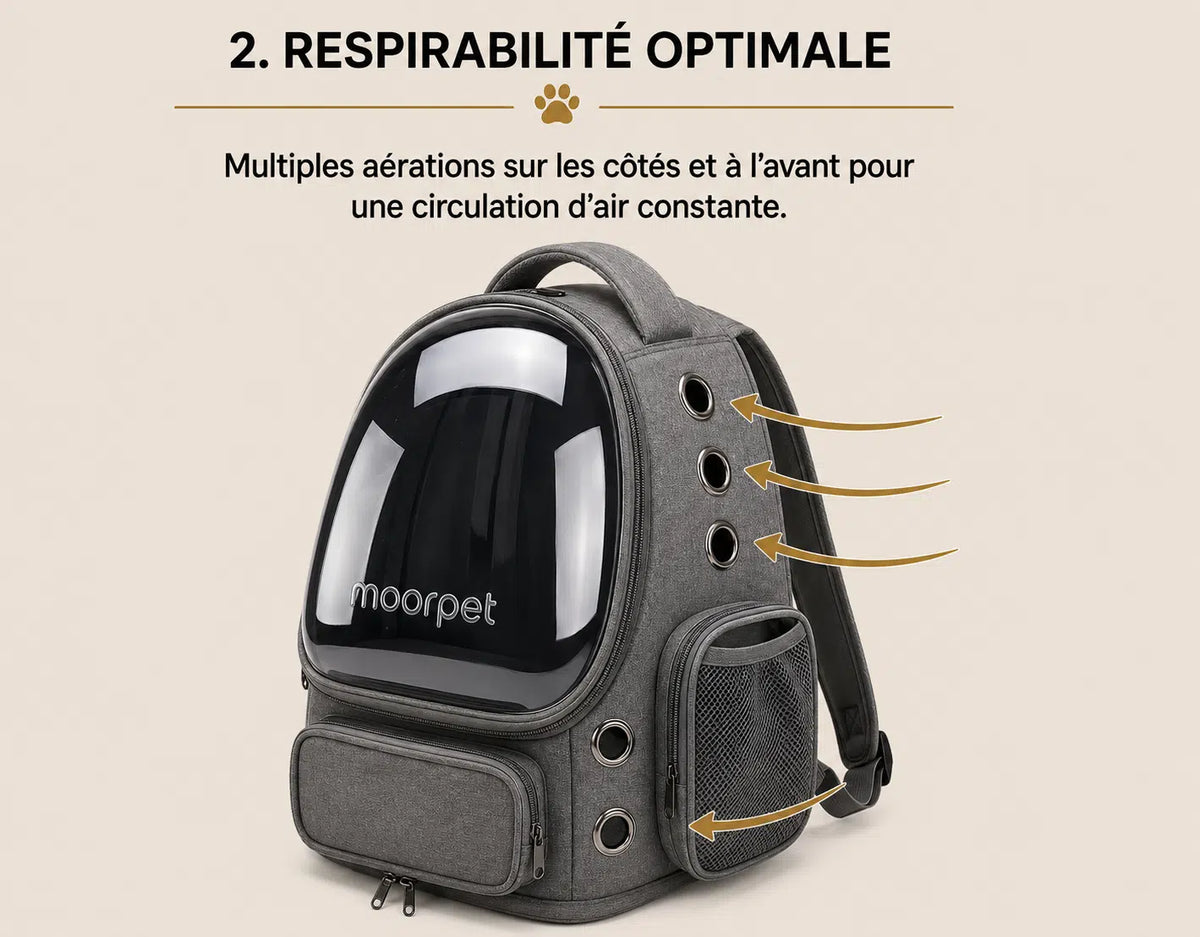 sac pour que le chat puisse bien respirer