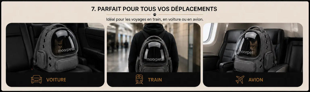 sac de voyage pour chat de partout, en avion, en voiture ou en train